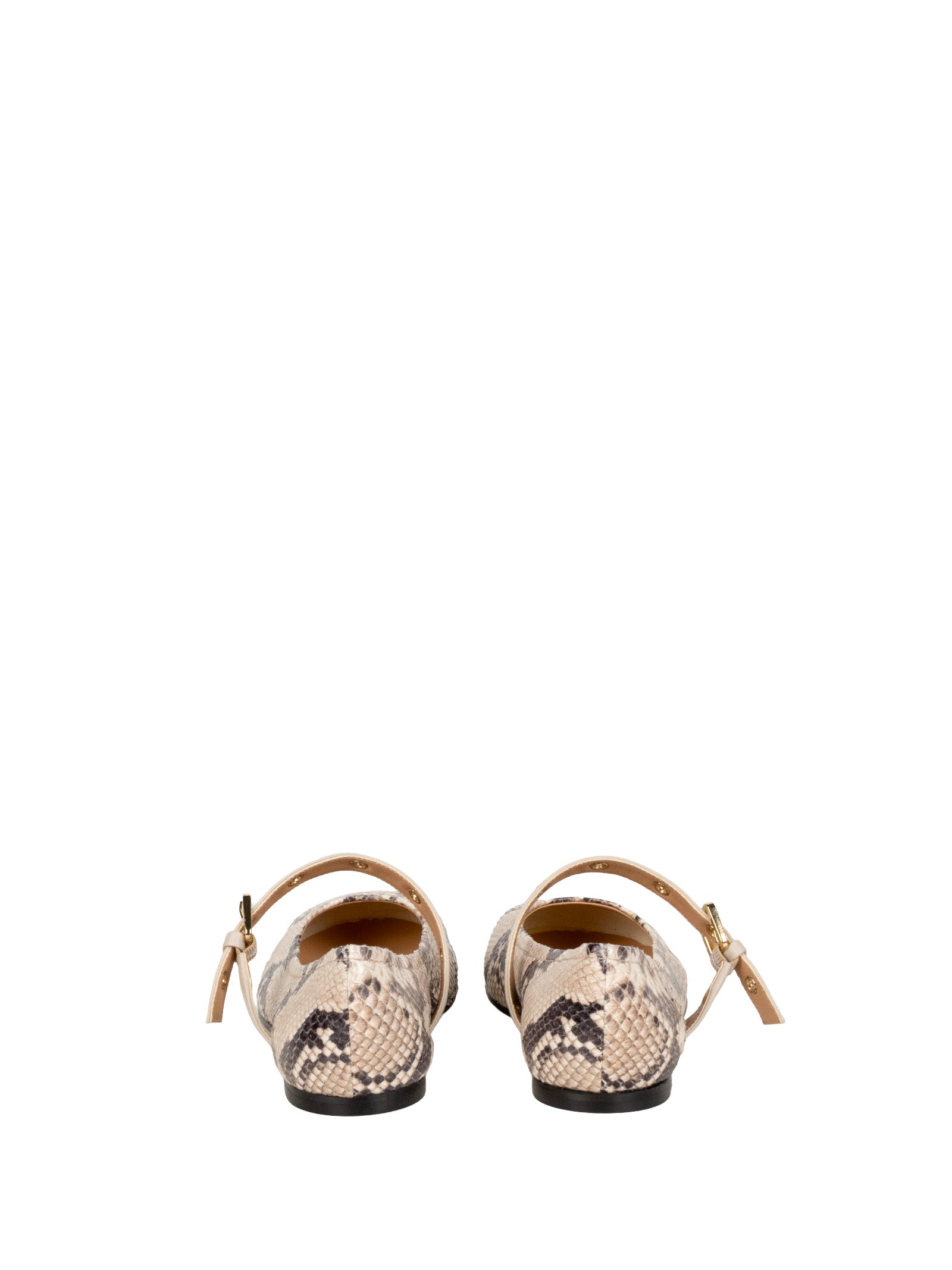 Status Flat shoes Rettile