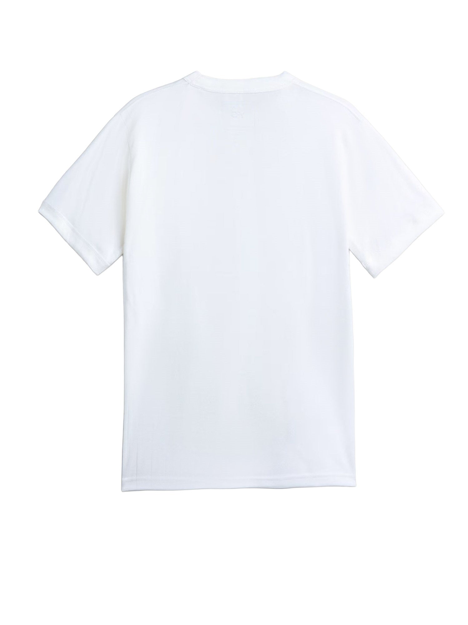 Y-3 T-shirts and Polos White Cotone