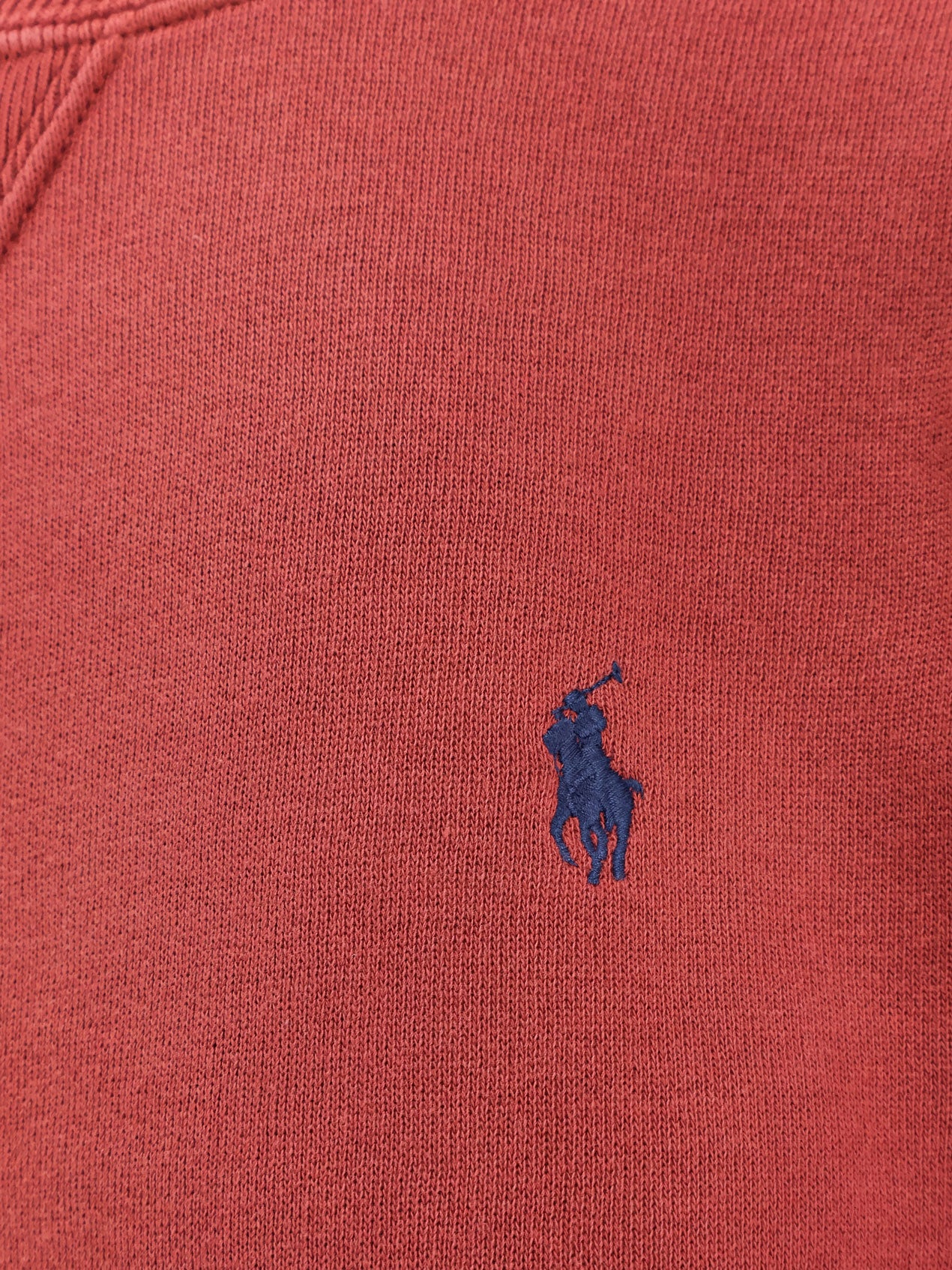 Polo Ralph Lauren Sweaters Redsnapper Cotone