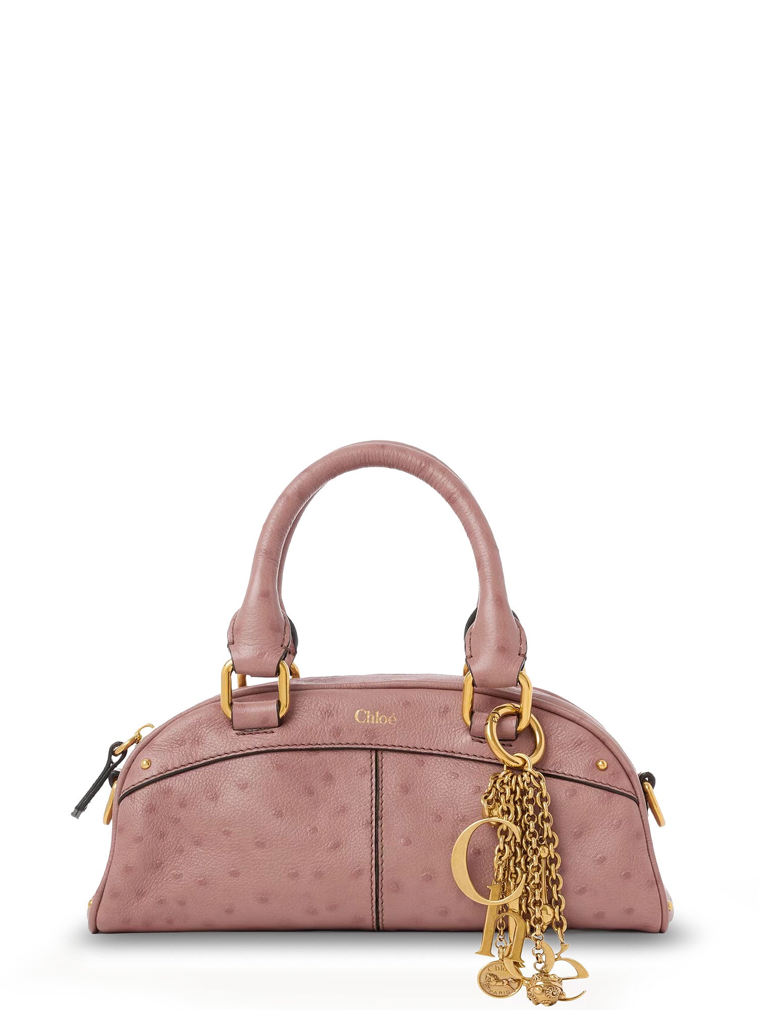 Chloè Bags Nougat Pelle