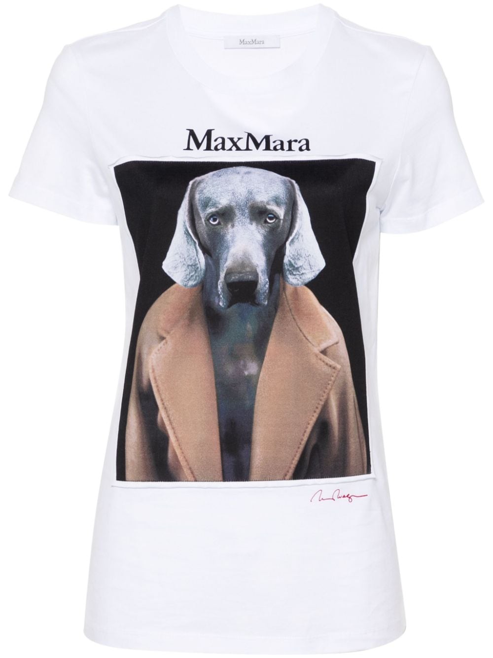 Max Mara T-Shirts And Polos Camel Cotton