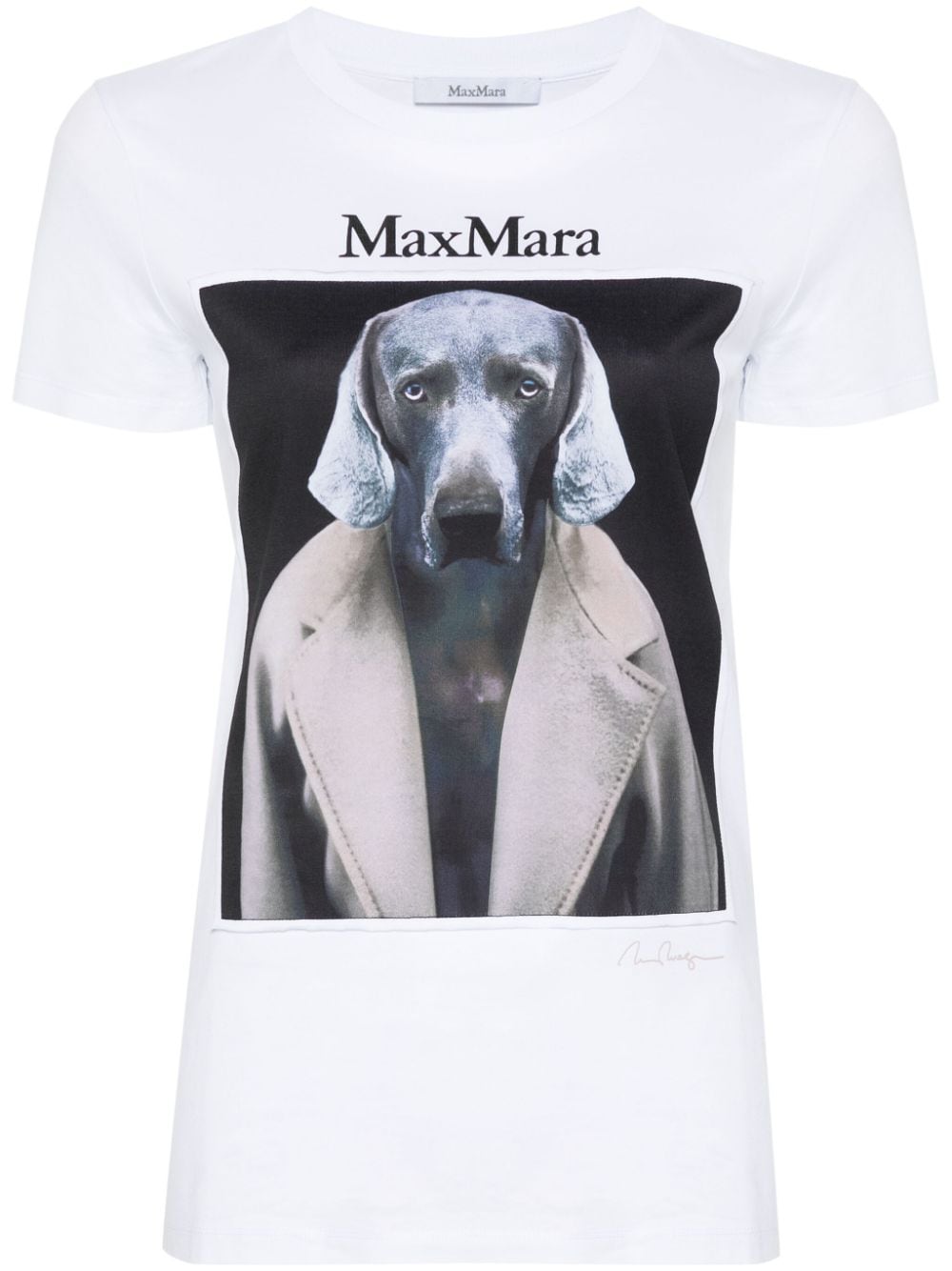 Max Mara T-Shirts And Polos Powder Cotton