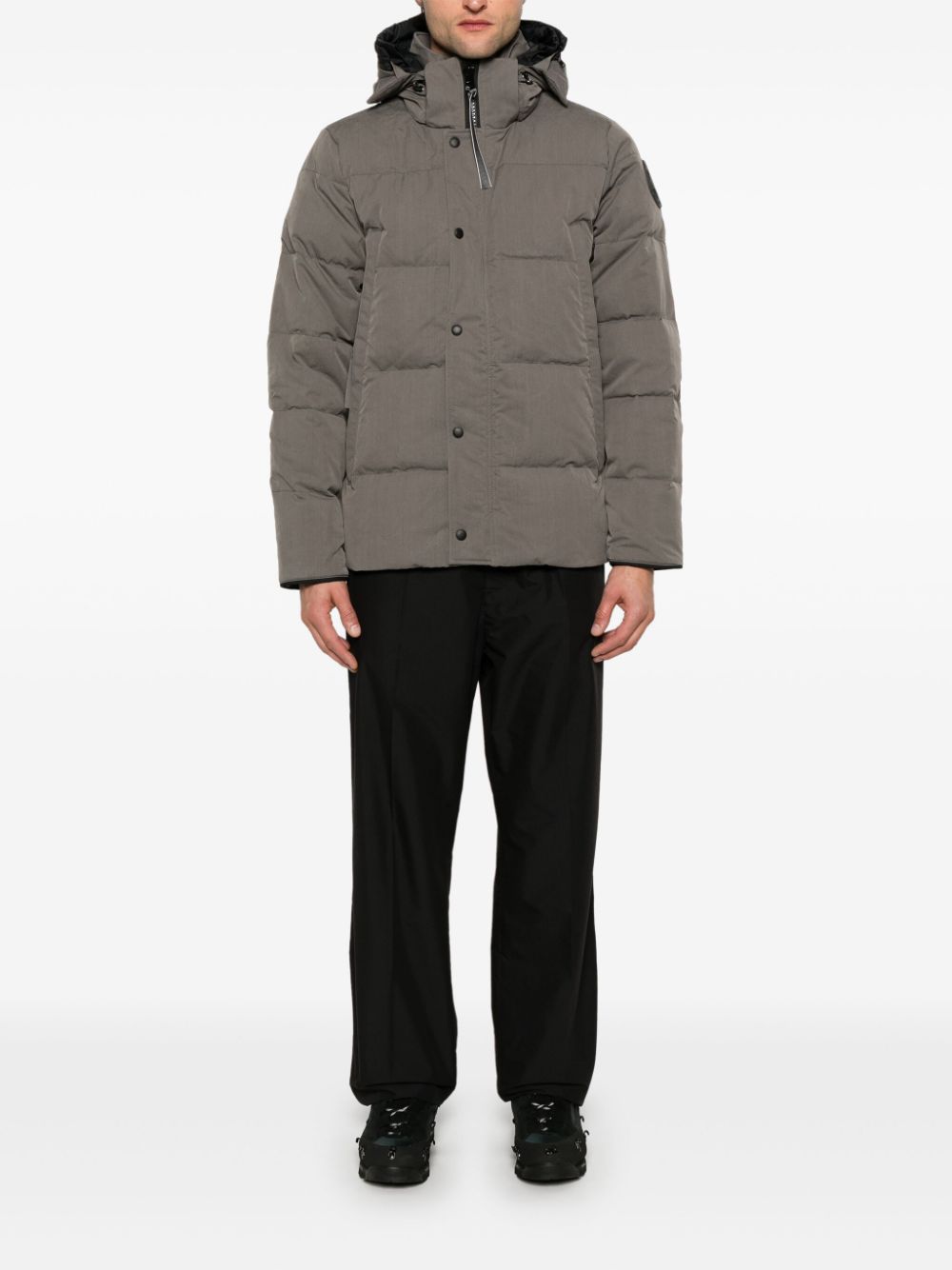 Canada Goose Coats Grey Outer: Cotton