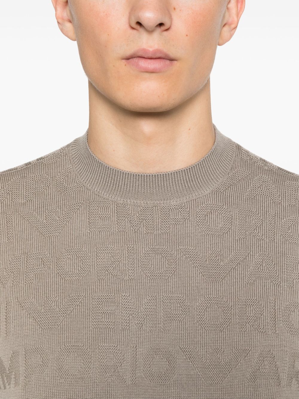 Emporio Armani Sweaters Tortora Virgin Wool
