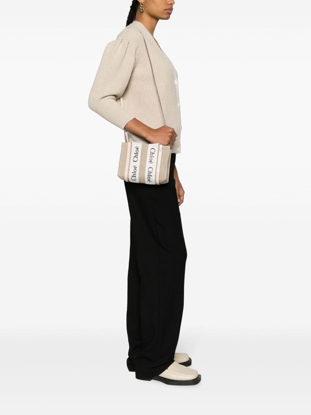Chloè Bags Powder