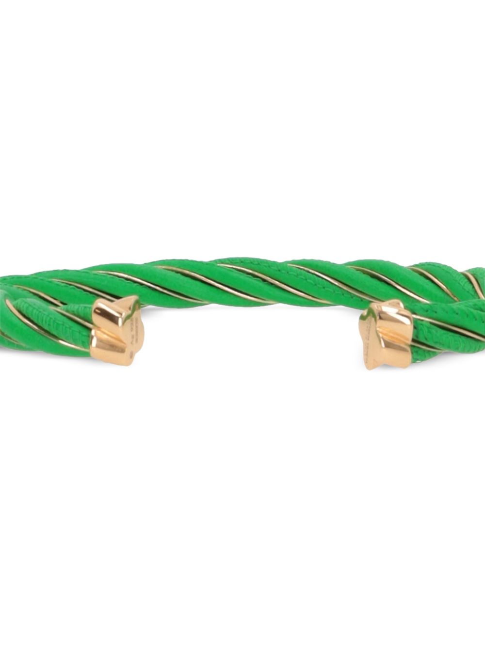 Bottega Veneta Bijoux Green