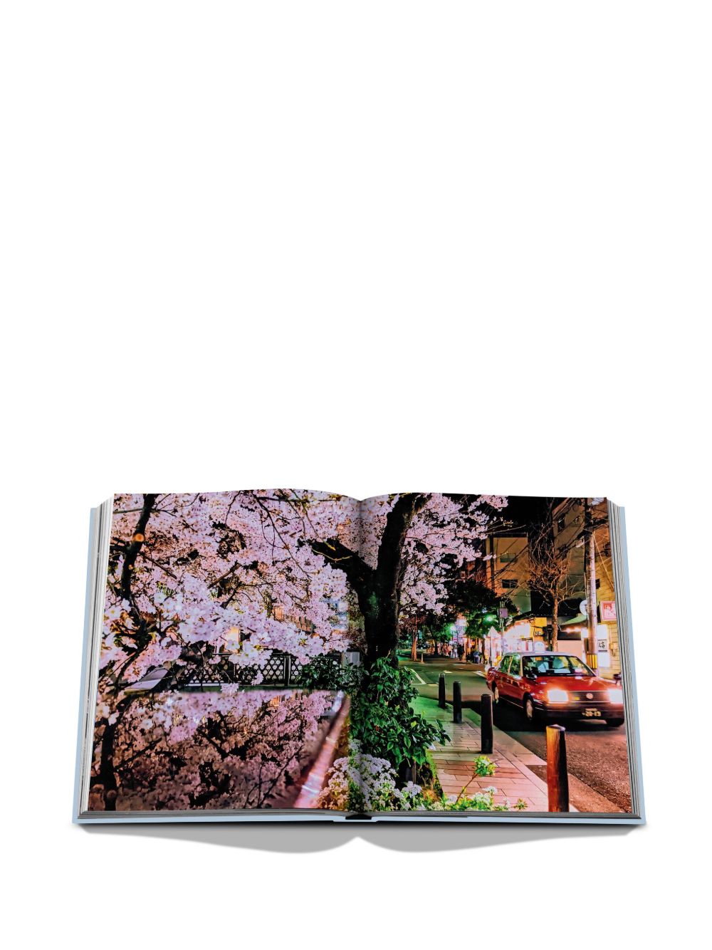ASSOULINE Living Paper