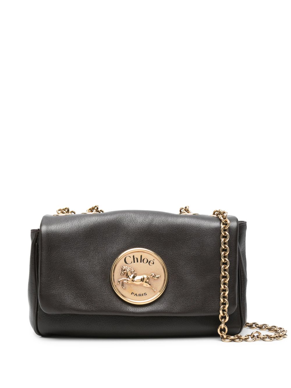 Chloè Bags Marrone Scuro Calf Leather