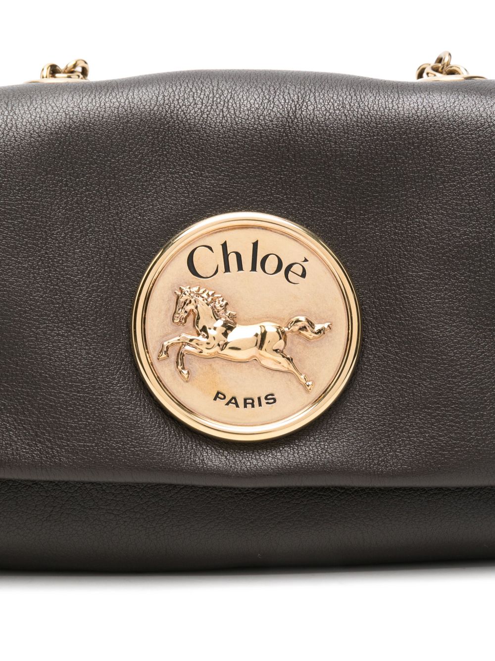 Chloè Bags Marrone Scuro Calf Leather
