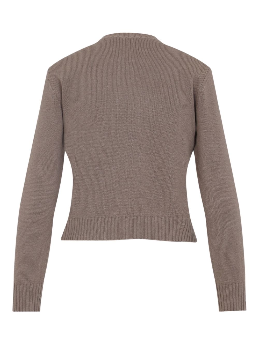 Fabiana Filippi Sweaters Brown Wv Se Ws