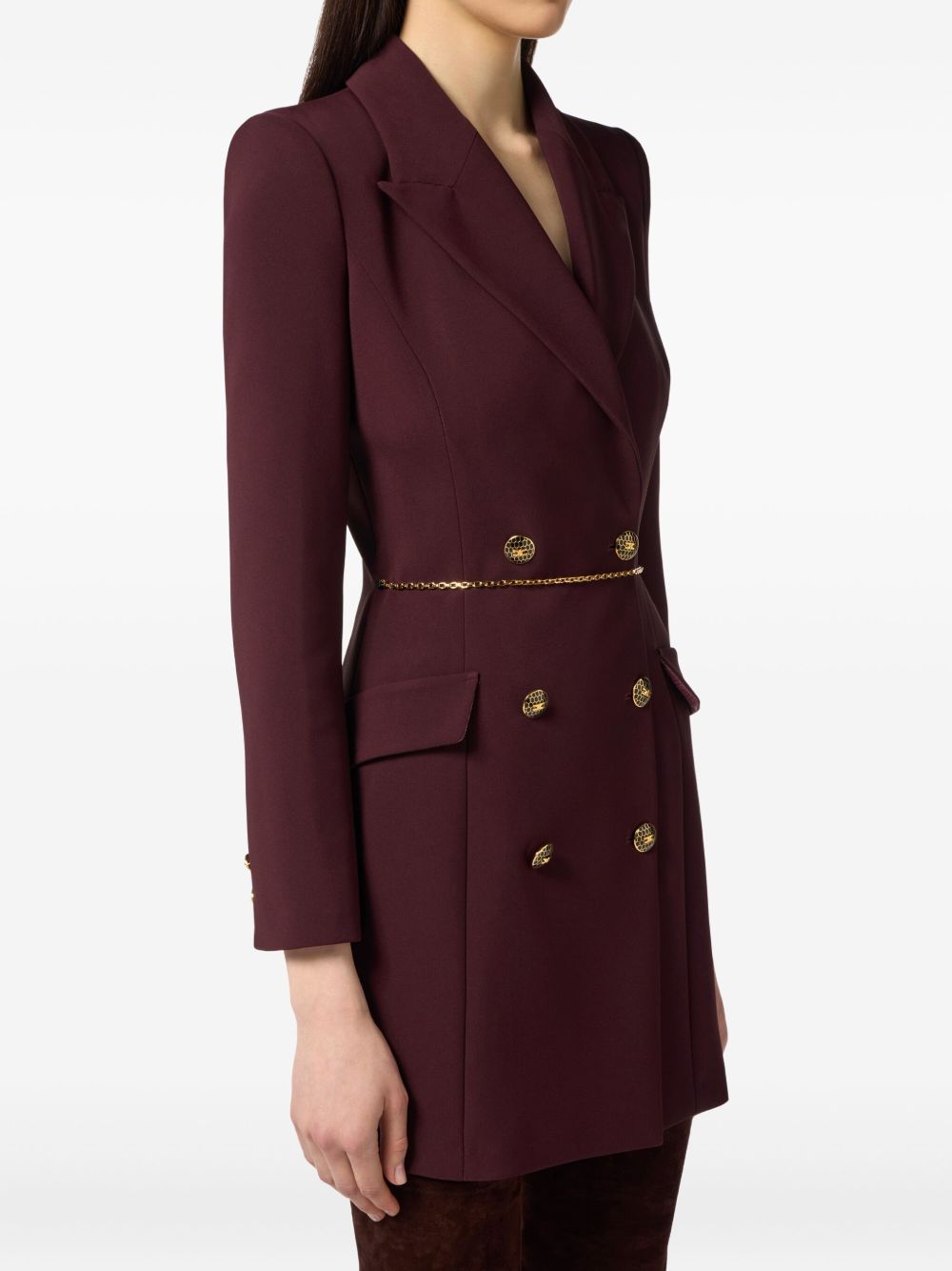 Elisabetta Franchi Dresses Bordeaux Plea
