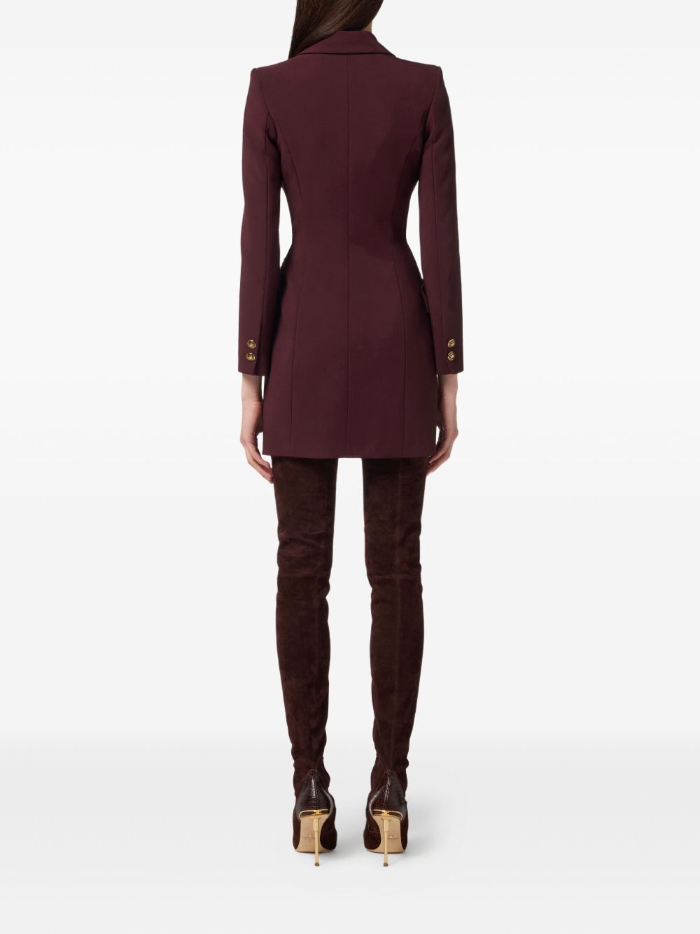 Elisabetta Franchi Dresses Bordeaux Plea