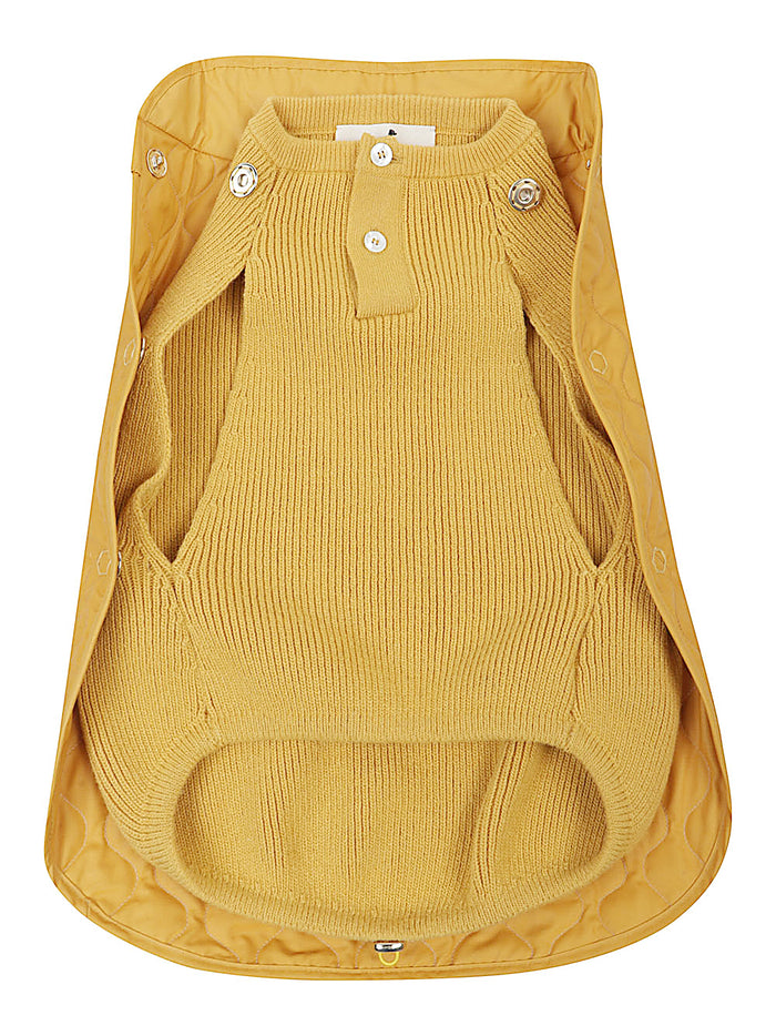 POLDO DOG COUTURE Accessories Orange Polyamide