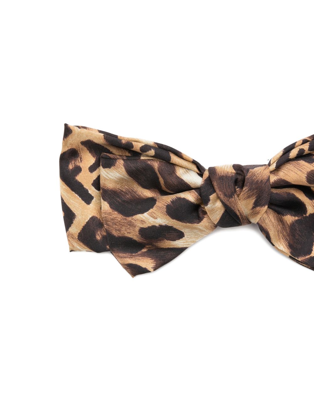 Fendi Accessories Brown