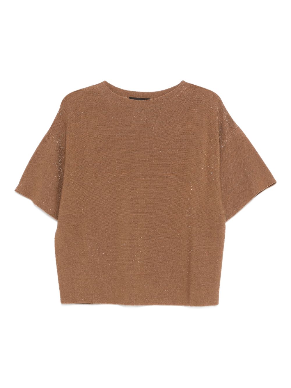 Fabiana Filippi Sweaters Brown Virgin Wool