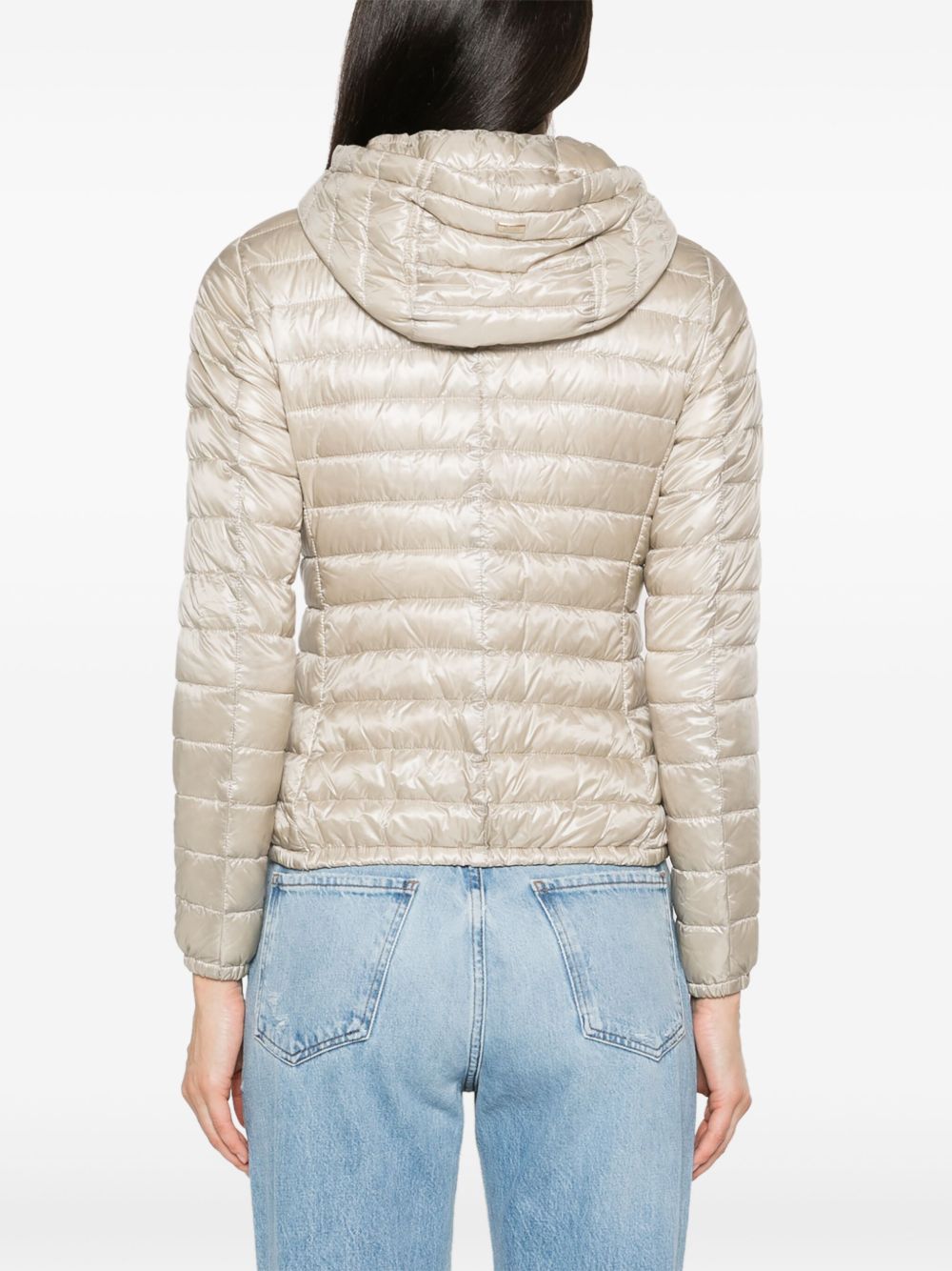 Herno Coats Powder Polyamide