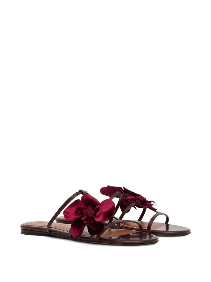 Zimmermann Sandals Rosso