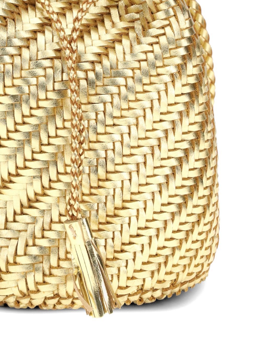 Dragon Diffusion Bags Golden