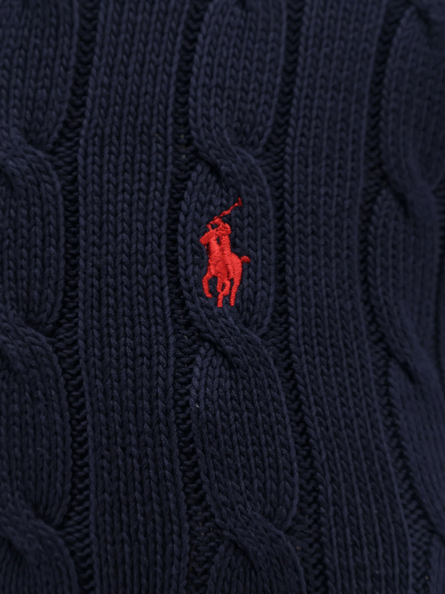Polo Ralph Lauren Sweaters Hunternavy Cotone