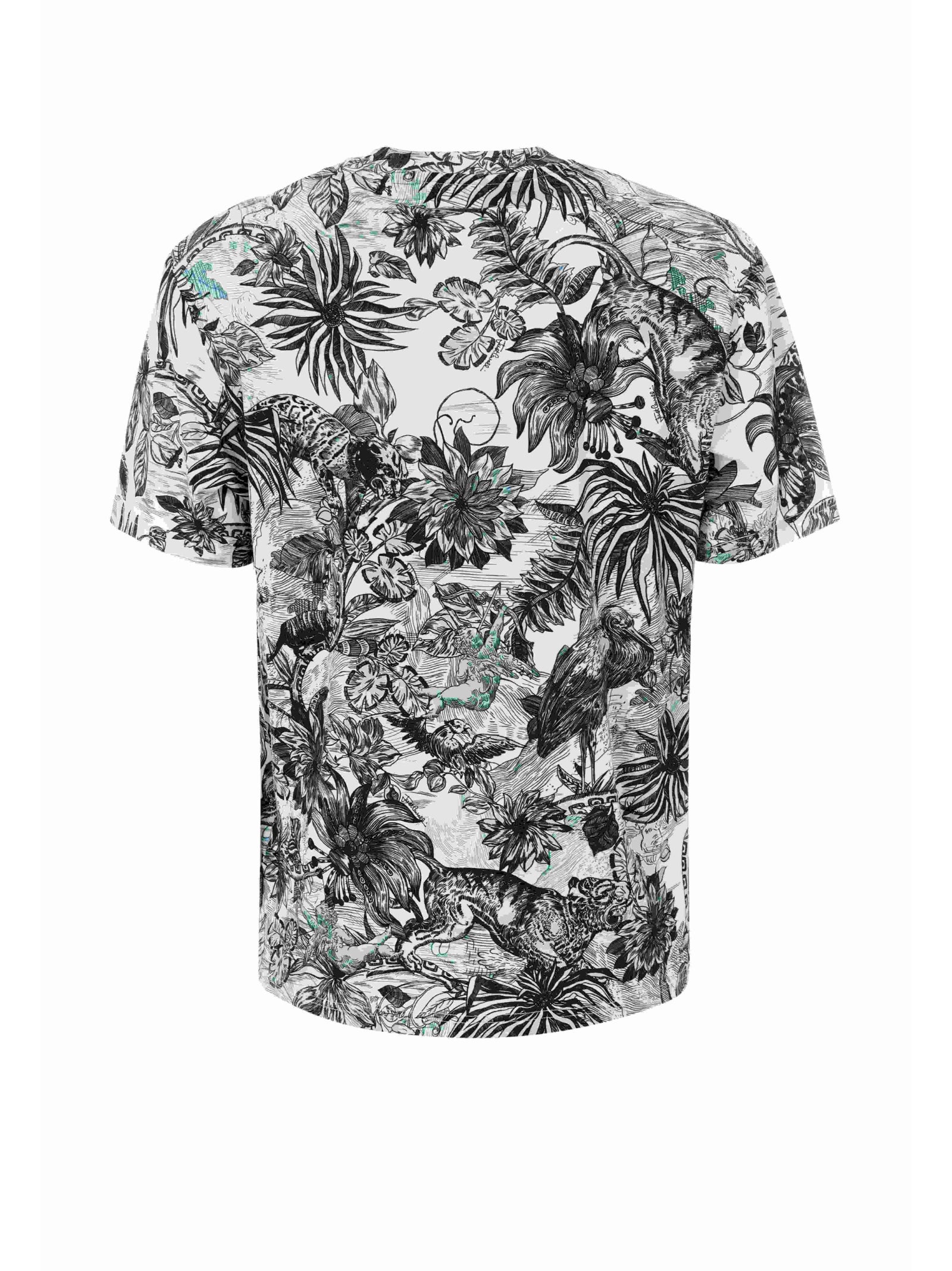 Just Cavalli T-shirts and Polos
