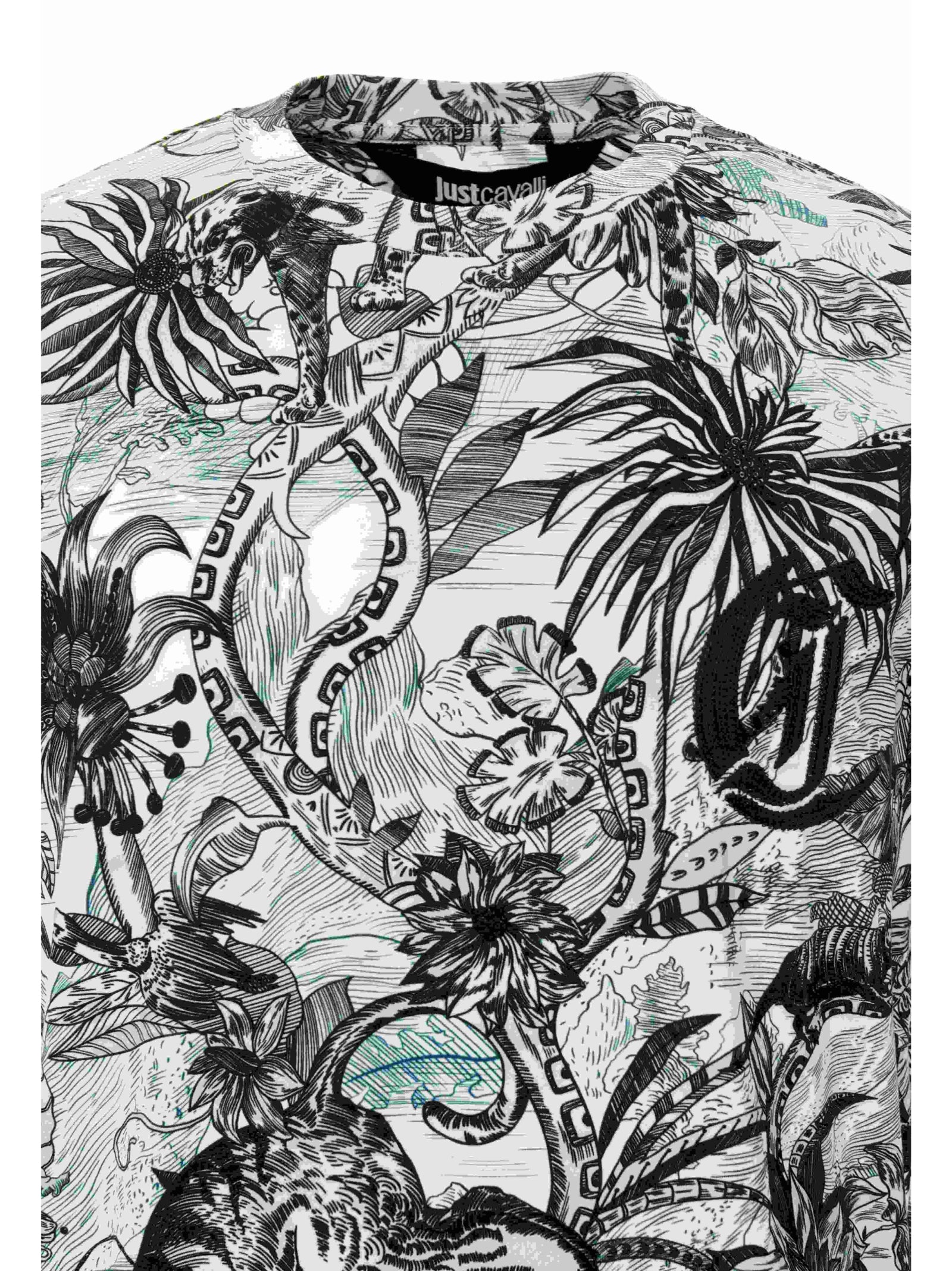 Just Cavalli T-shirts and Polos