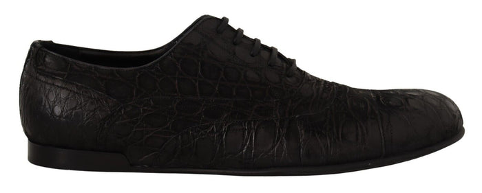 Dolce & Gabbana 100% Caiman Leather oxford in black