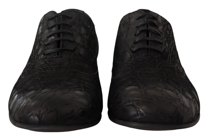 Dolce & Gabbana 100% Caiman Leather oxford in black — view 2