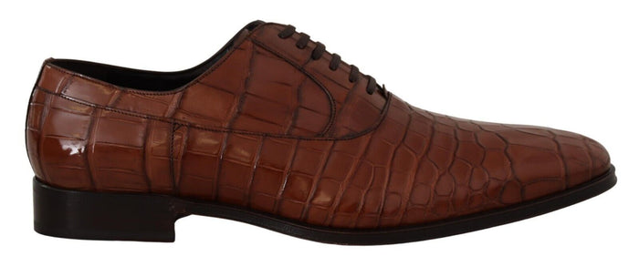 Dolce & Gabbana 100% exotic skin Crocodile leather derby shoes in brown