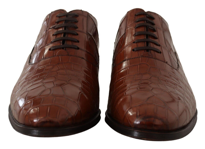 Dolce & Gabbana 100% exotic skin Crocodile leather derby shoes in brown — view 2