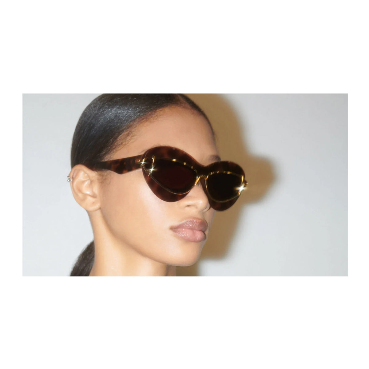 LW40119I 52E Marrone Acetate/metal Occhiali Sole