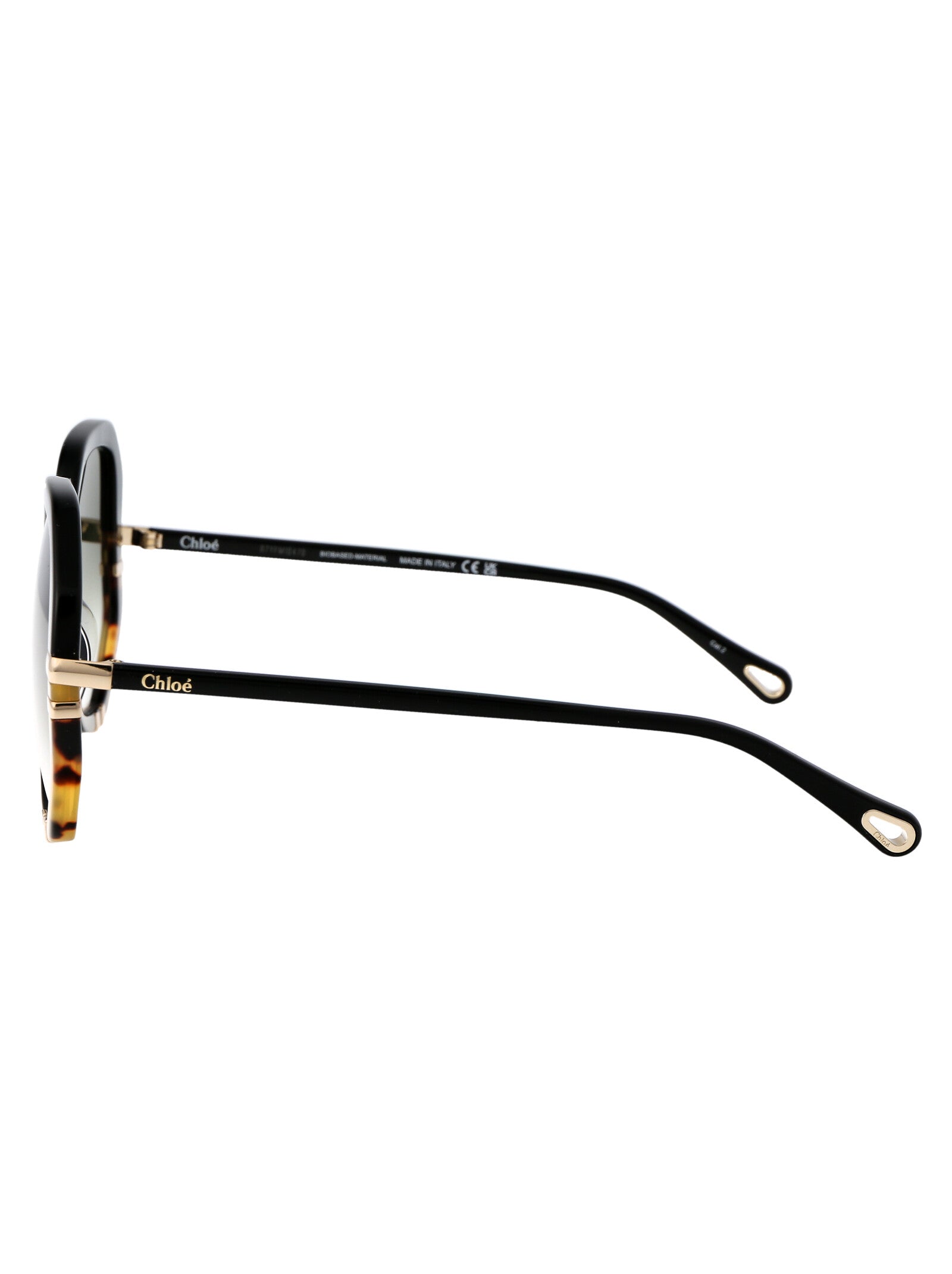 Ch0105s 002 Black Green Acetate Sunglasses