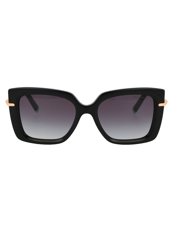 Sunglasses Black Acetate