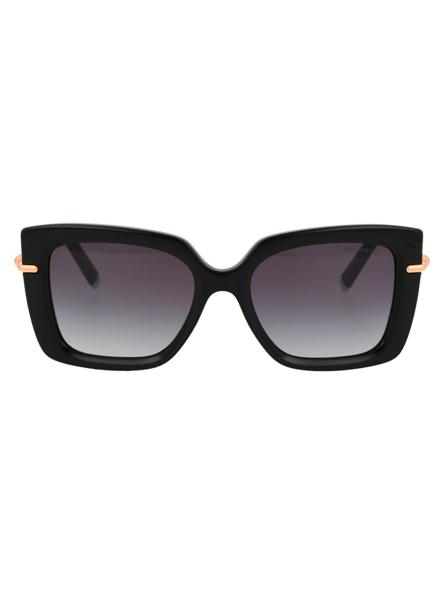 Sunglasses Black Acetate