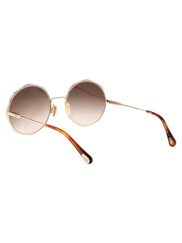 Ch0184s 002 Gold Brown Acetate Sunglasses