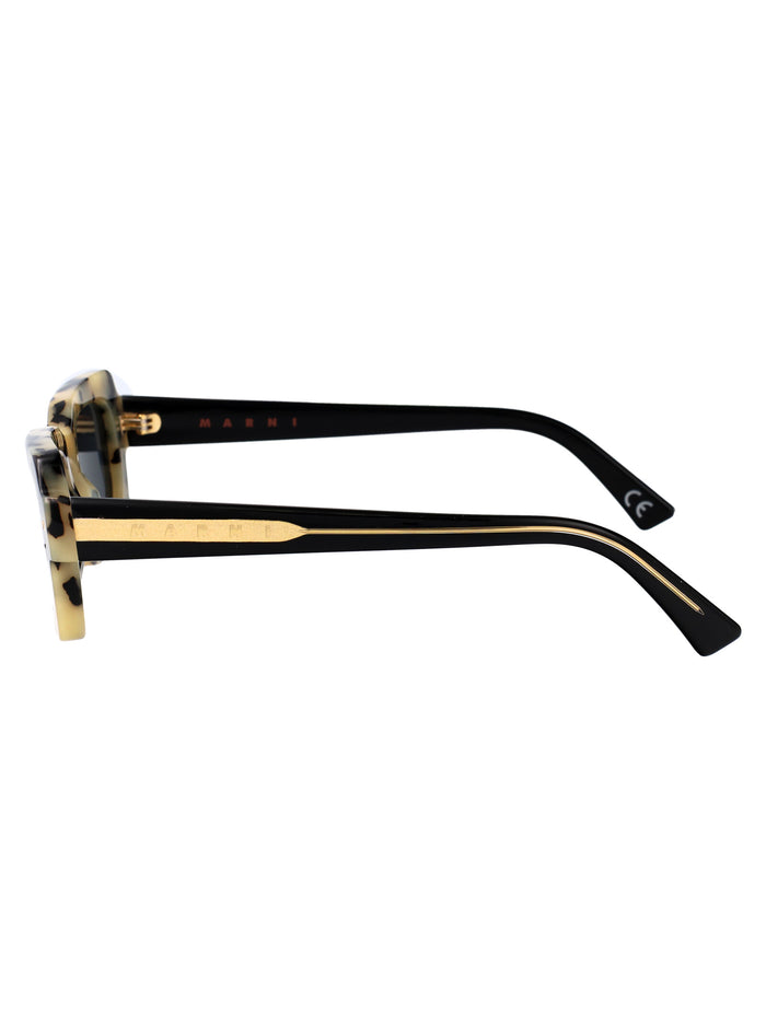 Lake Vostok Puma Acetate Sunglasses