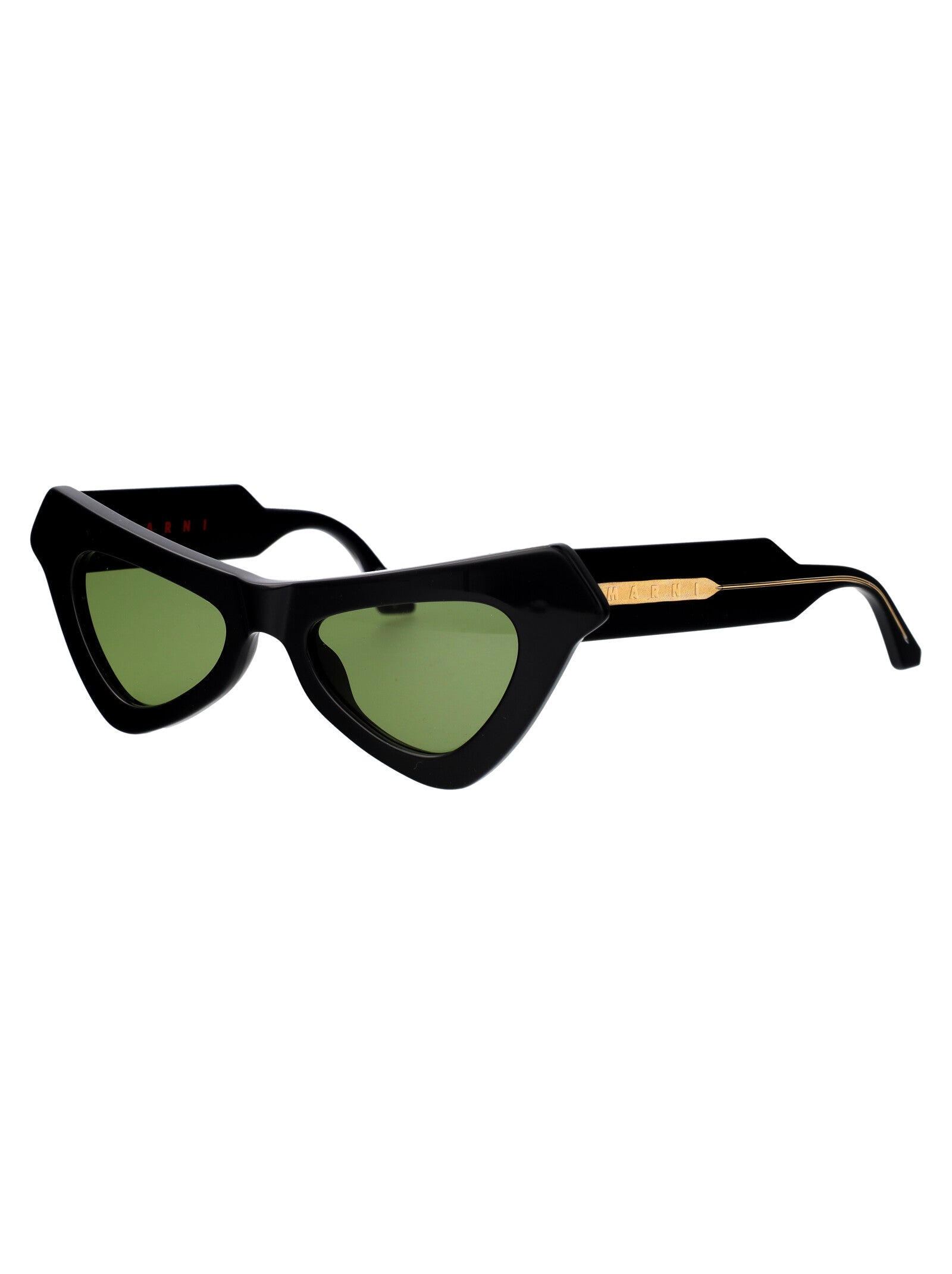 Fairy Pools Black Acetate Sunglasses