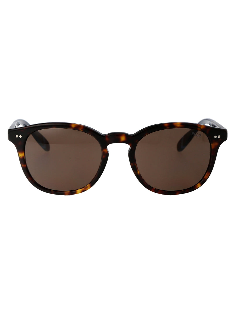 Sunglasses Dark Havana Acetate Glossy