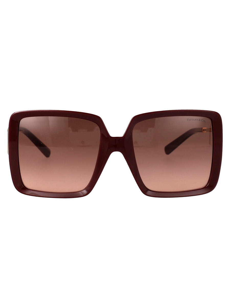 Sunglasses Burgundy Injected