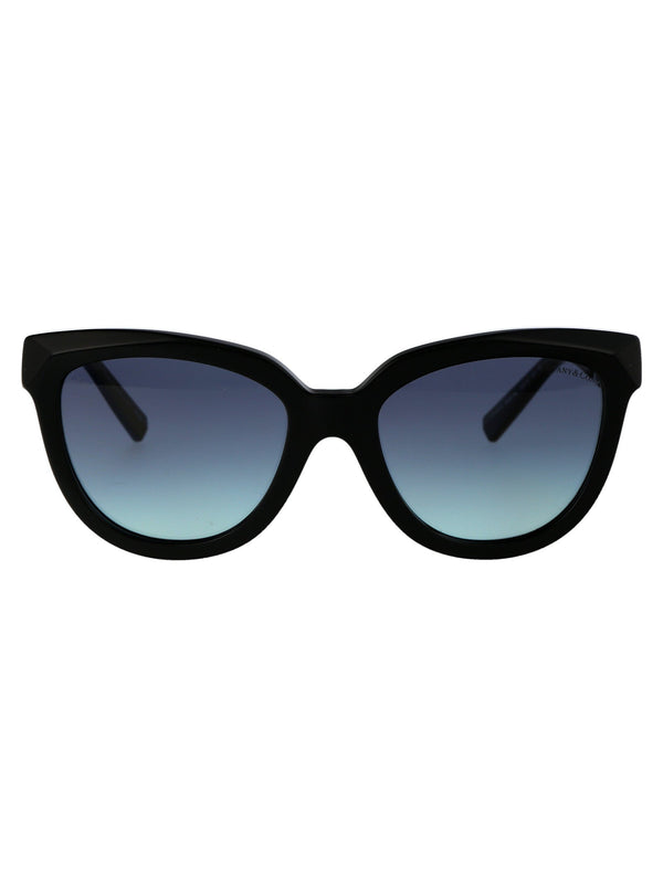 Sunglasses Black Acetate