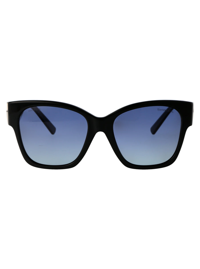 0tf4216 83944u Black Acetate Sunglasses