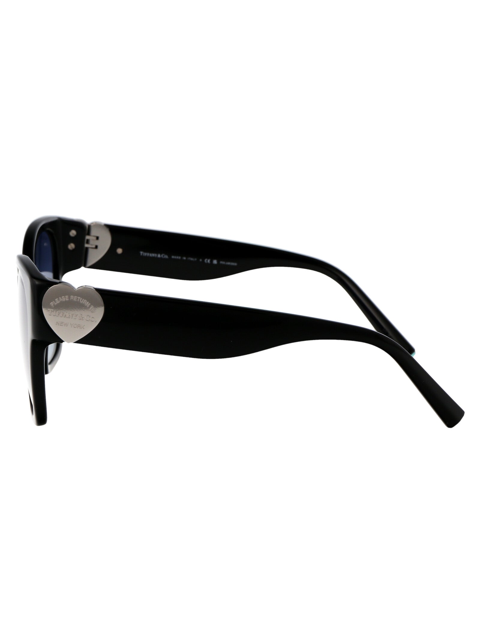 0tf4216 83944u Black Acetate Sunglasses