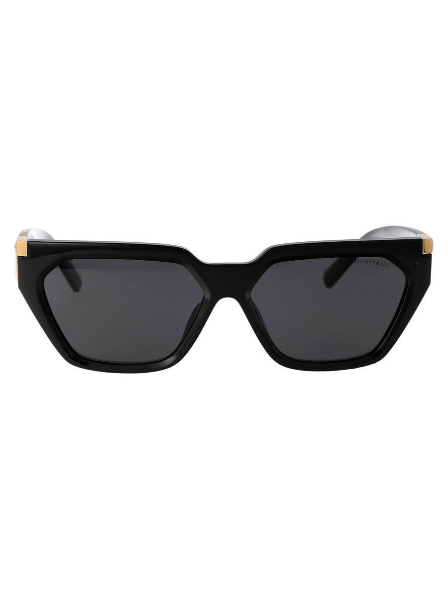 Injected Frame Sunglasses Black