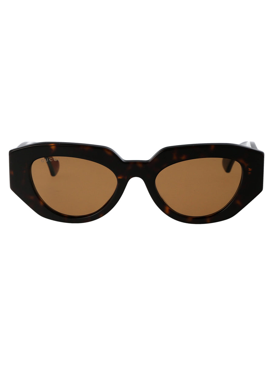 Sunglasses Havana Brown Acetate Havana/brown
