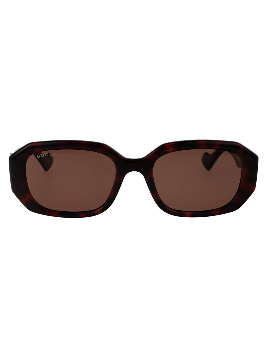 Sunglasses Havana Brown Injected