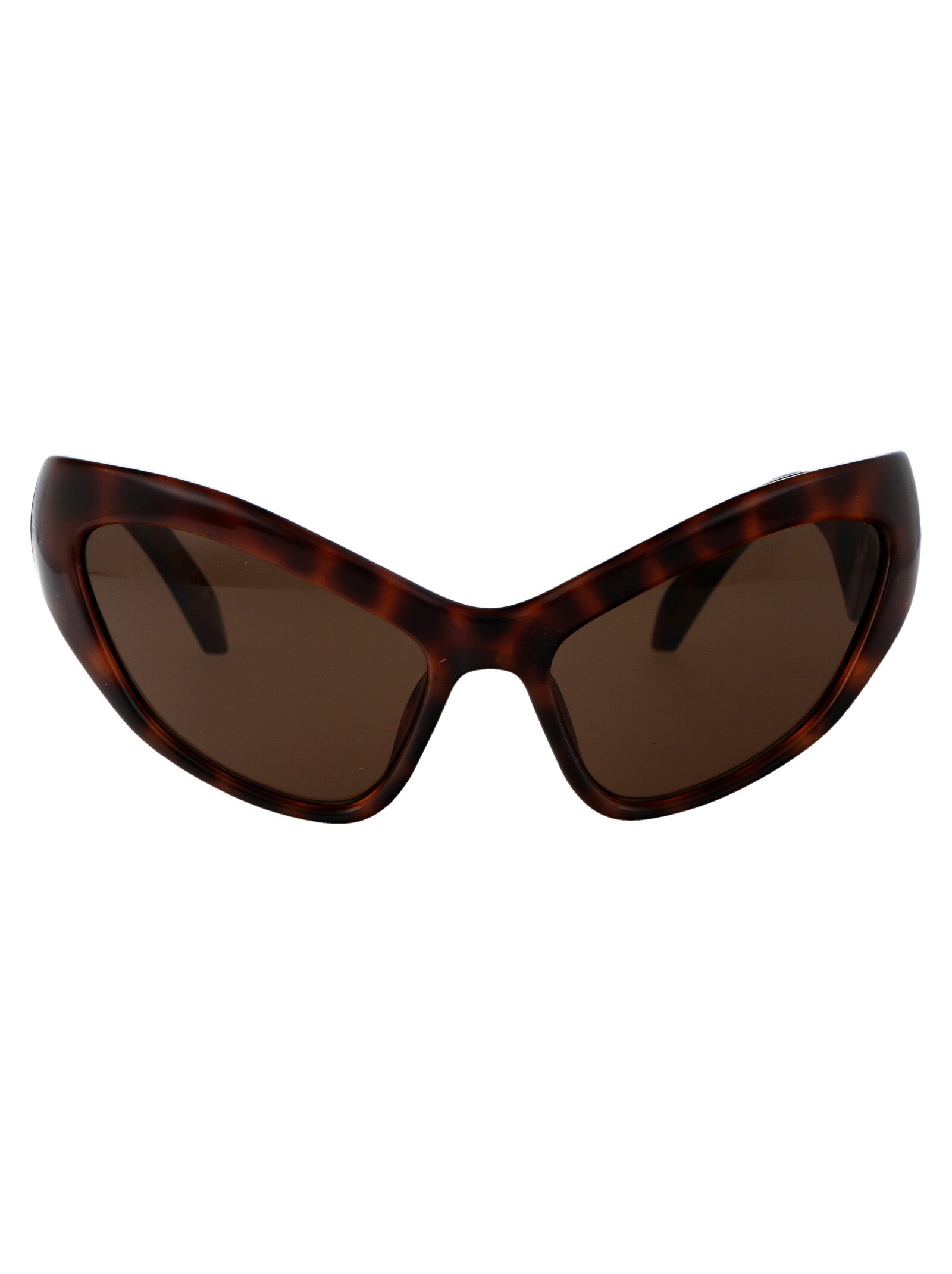 Bb0319s 002 Havana Brown Acetate Sunglasses