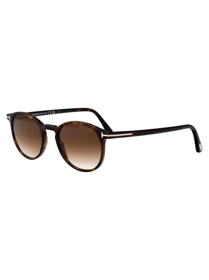 Avana Scura / Marrone Grad Acetate Sunglasses