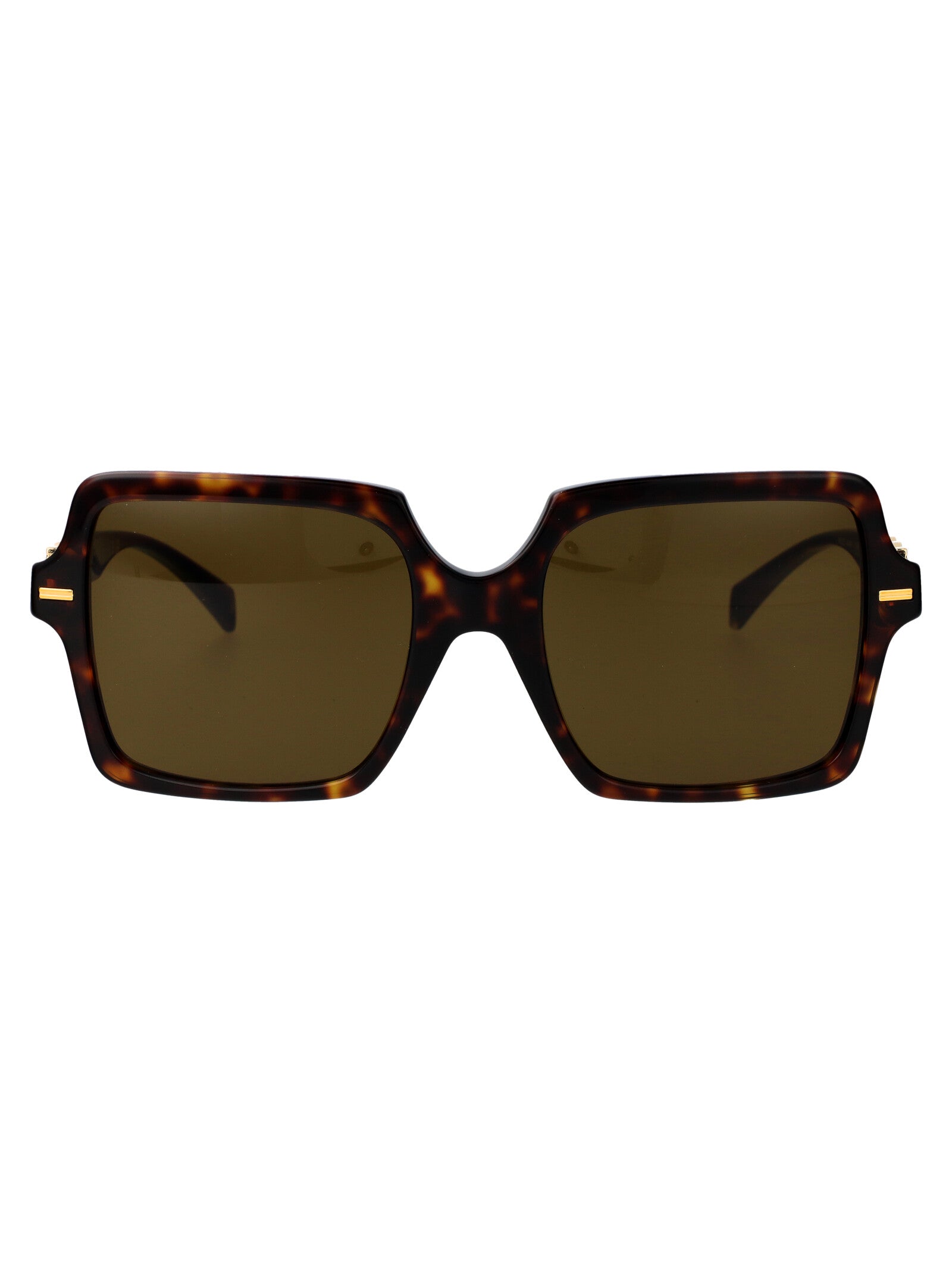 0ve4441 108-73 108/73 Havana Acetate Sunglasses