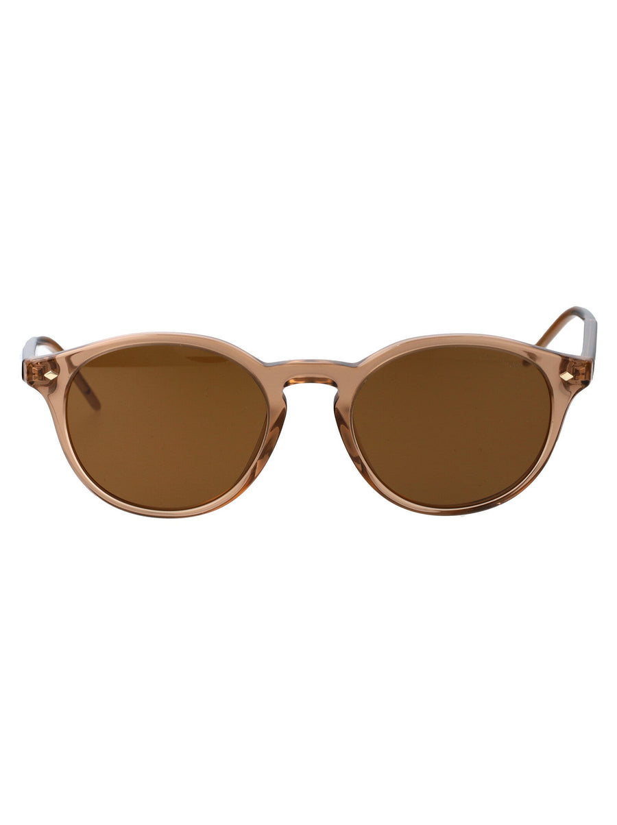 Sunglasses 0ar8211 Transparent Brown Acetate