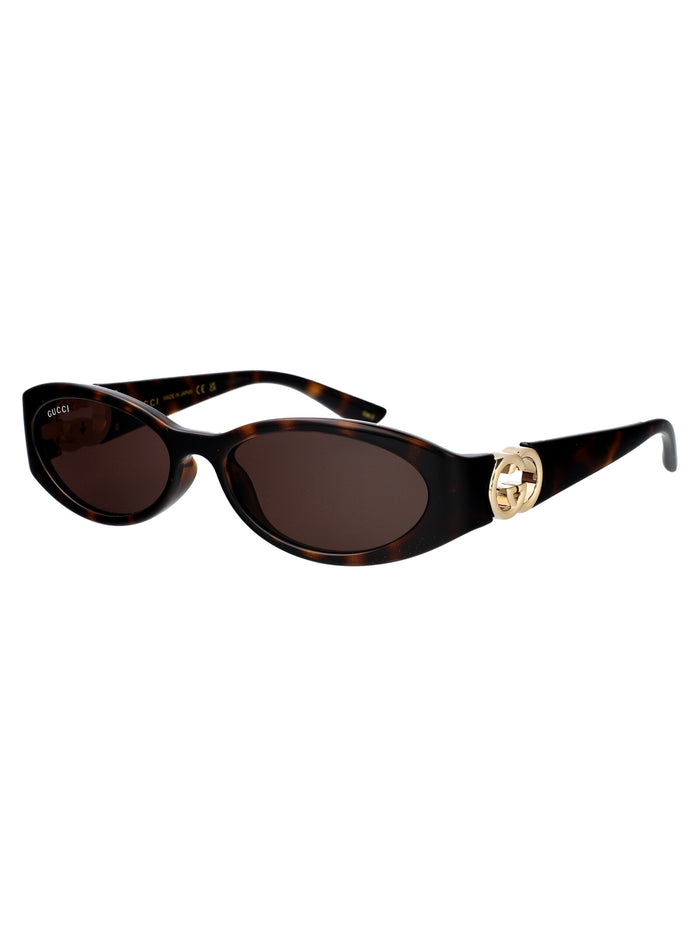 Havana-havana-brown Injected Sunglasses