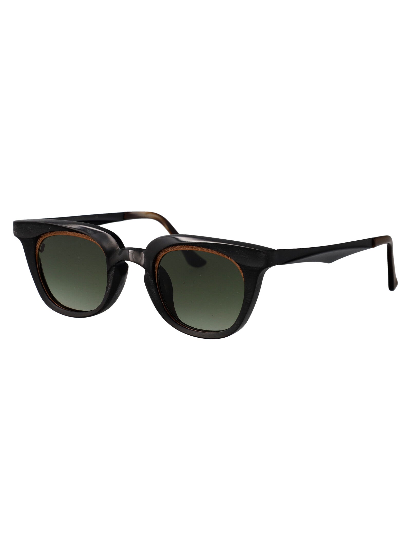 Rg1007 Black Horn Sunglasses